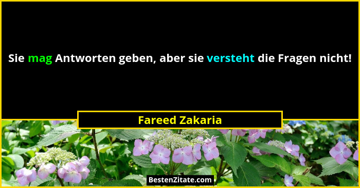 Sie mag Antworten geben, aber sie versteht die Fragen nicht!... - Fareed Zakaria