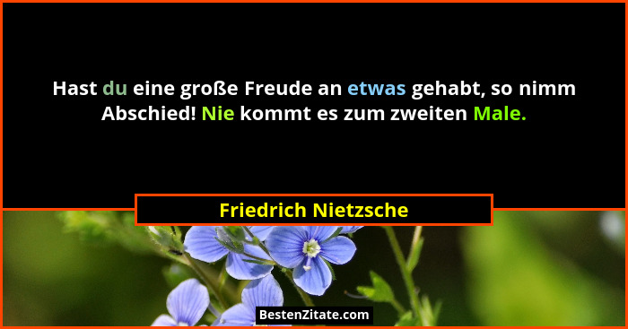 Hast du eine große Freude an etwas gehabt, so nimm Abschied! Nie kommt es zum zweiten Male.... - Friedrich Nietzsche