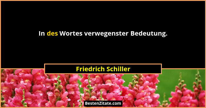 In des Wortes verwegenster Bedeutung.... - Friedrich Schiller