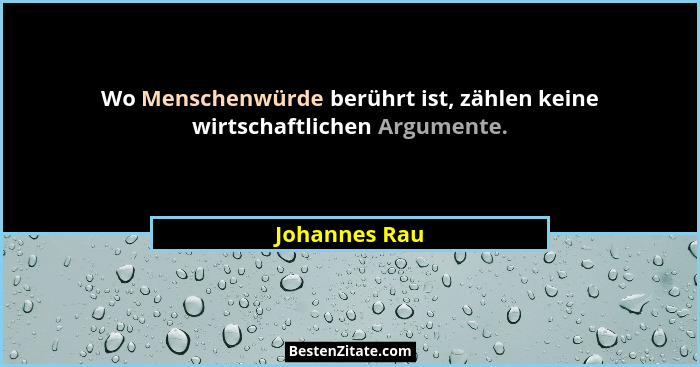 Wo Menschenwürde berührt ist, zählen keine wirtschaftlichen Argumente.... - Johannes Rau