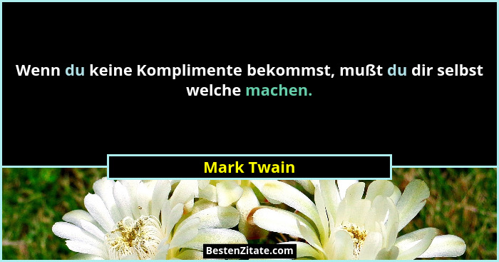 Wenn du keine Komplimente bekommst, mußt du dir selbst welche machen.... - Mark Twain