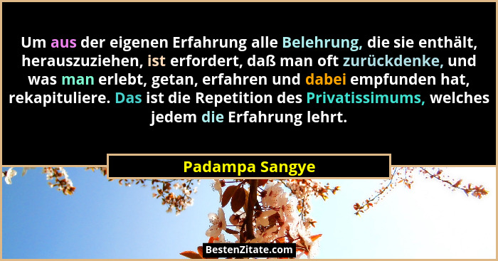 Um aus der eigenen Erfahrung alle Belehrung, die sie enthält, herauszuziehen, ist erfordert, daß man oft zurückdenke, und was man erl... - Padampa Sangye