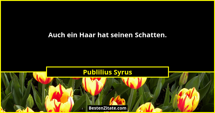 Auch ein Haar hat seinen Schatten.... - Publilius Syrus