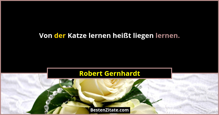 Von der Katze lernen heißt liegen lernen.... - Robert Gernhardt