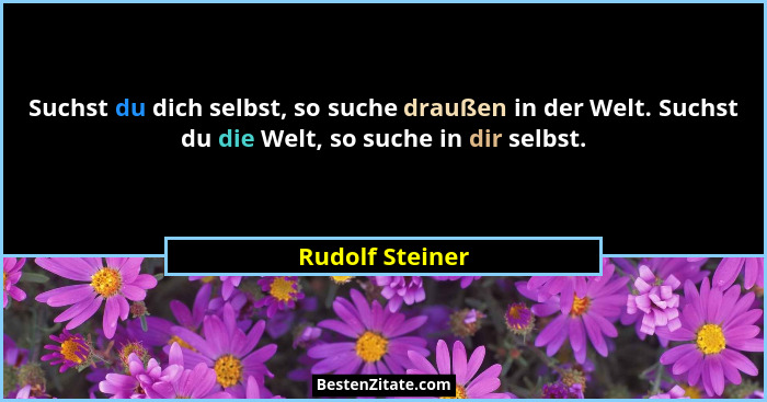 Suchst du dich selbst, so suche draußen in der Welt. Suchst du die Welt, so suche in dir selbst.... - Rudolf Steiner