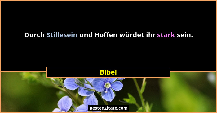 Durch Stillesein und Hoffen würdet ihr stark sein.... - Bibel