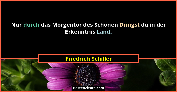 Nur durch das Morgentor des Schönen Dringst du in der Erkenntnis Land.... - Friedrich Schiller
