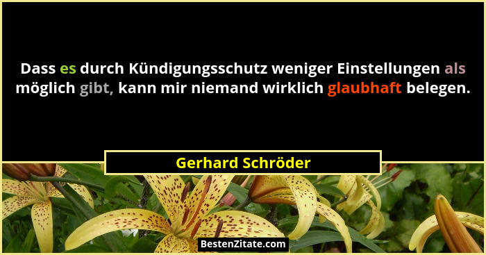 Dass es durch Kündigungsschutz weniger Einstellungen als möglich gibt, kann mir niemand wirklich glaubhaft belegen.... - Gerhard Schröder
