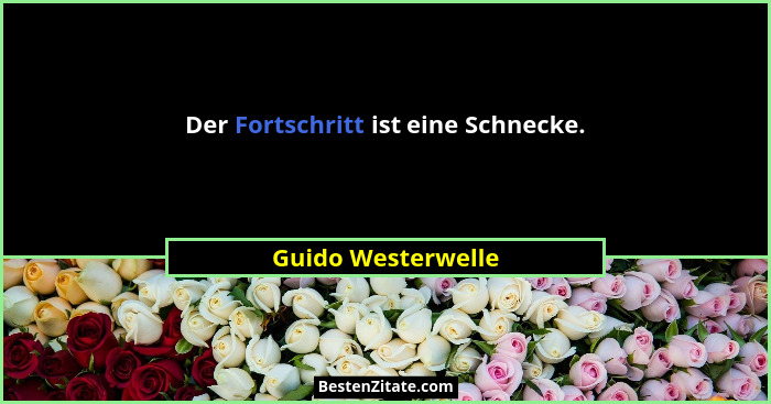 Der Fortschritt ist eine Schnecke.... - Guido Westerwelle