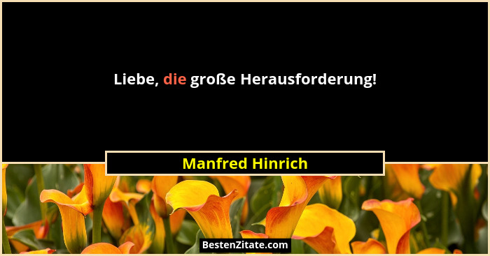 Liebe, die große Herausforderung!... - Manfred Hinrich