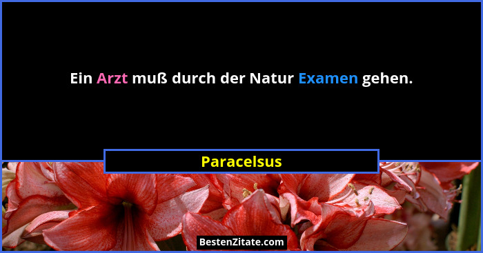 Ein Arzt muß durch der Natur Examen gehen.... - Paracelsus