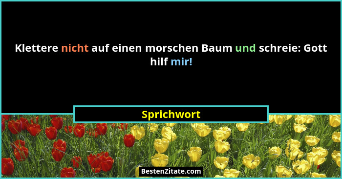 Klettere nicht auf einen morschen Baum und schreie: Gott hilf mir!... - Sprichwort