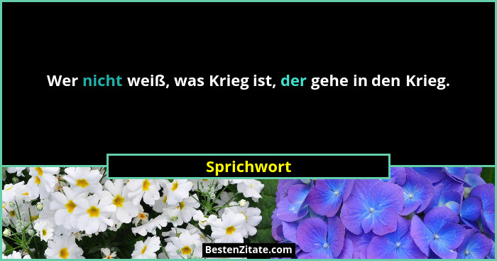 Wer nicht weiß, was Krieg ist, der gehe in den Krieg.... - Sprichwort