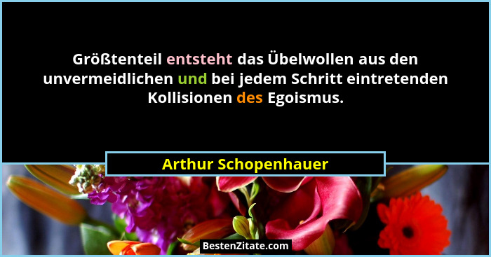 Größtenteil entsteht das Übelwollen aus den unvermeidlichen und bei jedem Schritt eintretenden Kollisionen des Egoismus.... - Arthur Schopenhauer
