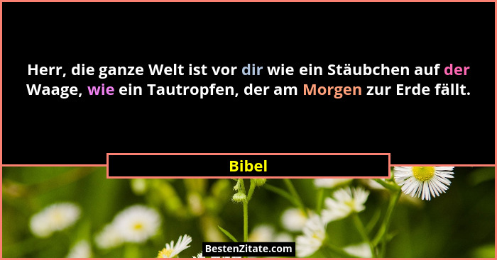 Herr, die ganze Welt ist vor dir wie ein Stäubchen auf der Waage, wie ein Tautropfen, der am Morgen zur Erde fällt.... - Bibel