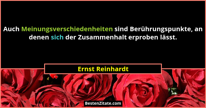 Auch Meinungsverschiedenheiten sind Berührungspunkte, an denen sich der Zusammenhalt erproben lässt.... - Ernst Reinhardt