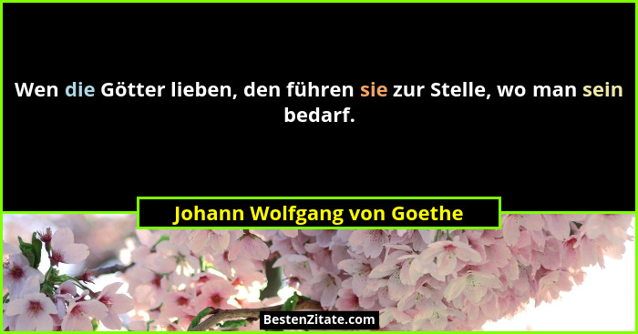 Wen die Götter lieben, den führen sie zur Stelle, wo man sein bedarf.... - Johann Wolfgang von Goethe
