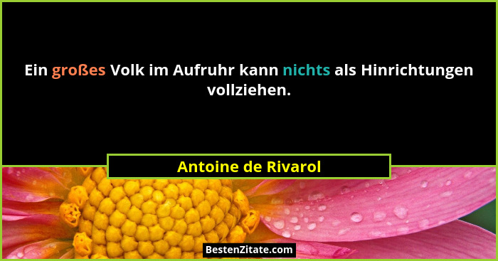 Ein großes Volk im Aufruhr kann nichts als Hinrichtungen vollziehen.... - Antoine de Rivarol