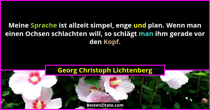 Meine Sprache ist allzeit simpel, enge und plan. Wenn man einen Ochsen schlachten will, so schlägt man ihm gerade vor de... - Georg Christoph Lichtenberg