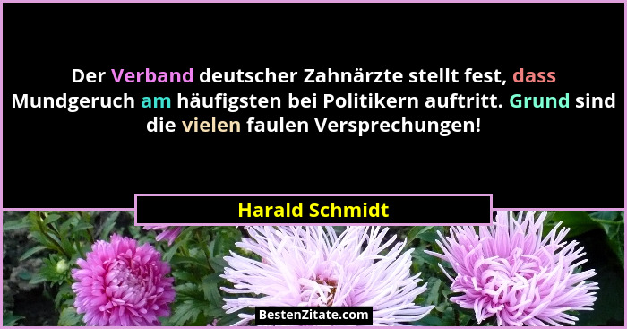 Der Verband deutscher Zahnärzte stellt fest, dass Mundgeruch am häufigsten bei Politikern auftritt. Grund sind die vielen faulen Vers... - Harald Schmidt