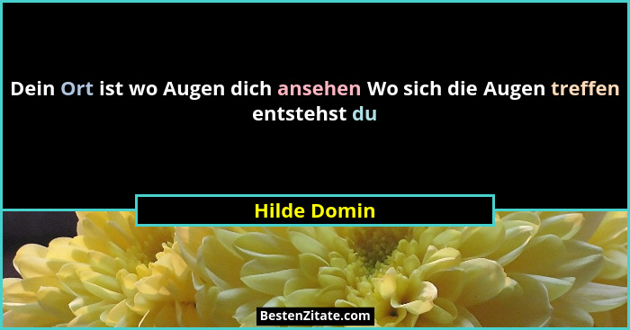 Dein Ort ist wo Augen dich ansehen Wo sich die Augen treffen entstehst du... - Hilde Domin