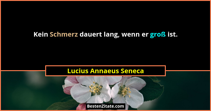 Kein Schmerz dauert lang, wenn er groß ist.... - Lucius Annaeus Seneca