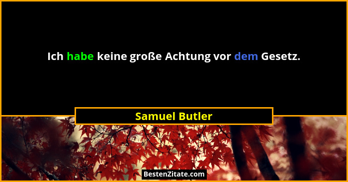 Ich habe keine große Achtung vor dem Gesetz.... - Samuel Butler