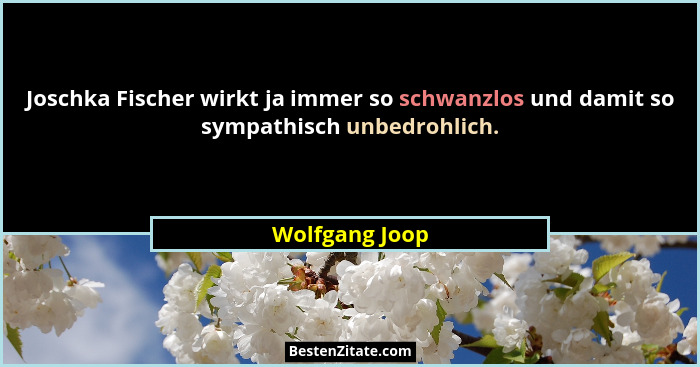 Joschka Fischer wirkt ja immer so schwanzlos und damit so sympathisch unbedrohlich.... - Wolfgang Joop