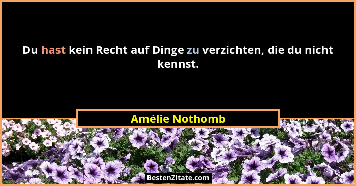 Du hast kein Recht auf Dinge zu verzichten, die du nicht kennst.... - Amélie Nothomb