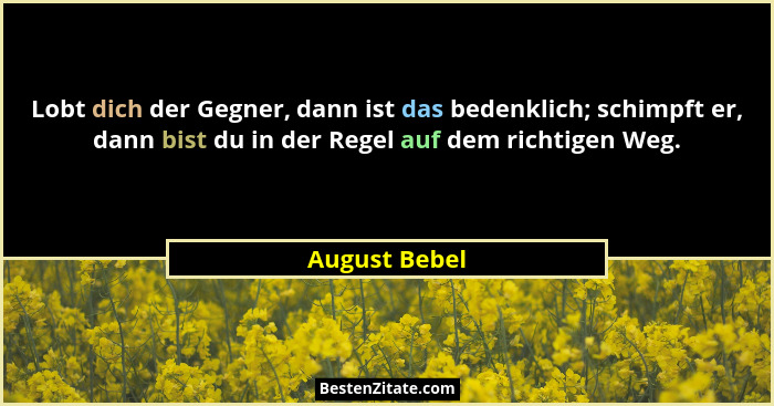 Lobt dich der Gegner, dann ist das bedenklich; schimpft er, dann bist du in der Regel auf dem richtigen Weg.... - August Bebel