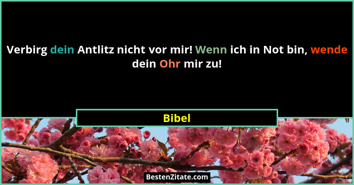 Verbirg dein Antlitz nicht vor mir! Wenn ich in Not bin, wende dein Ohr mir zu!... - Bibel
