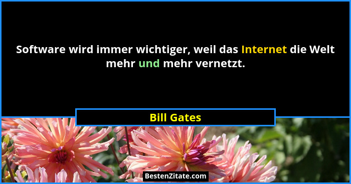 Software wird immer wichtiger, weil das Internet die Welt mehr und mehr vernetzt.... - Bill Gates
