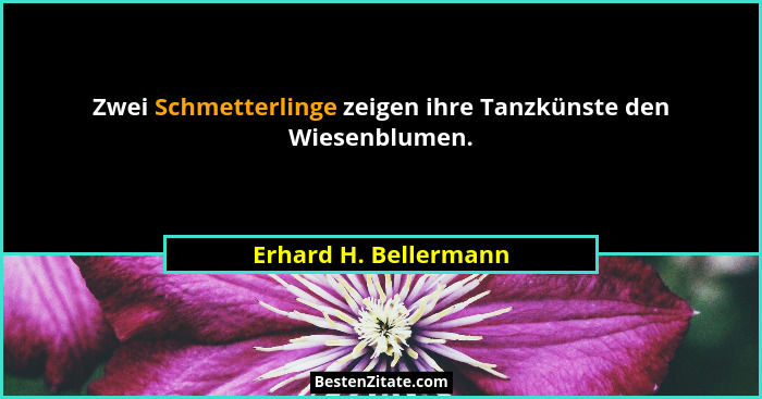 Zwei Schmetterlinge zeigen ihre Tanzkünste den Wiesenblumen.... - Erhard H. Bellermann