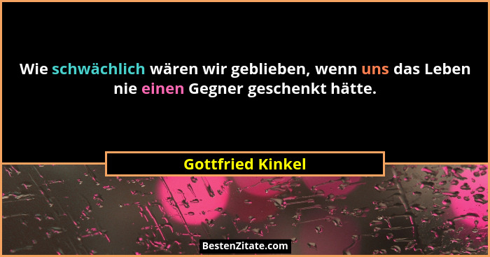 Wie schwächlich wären wir geblieben, wenn uns das Leben nie einen Gegner geschenkt hätte.... - Gottfried Kinkel