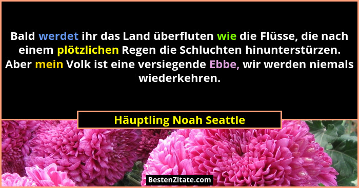 Bald werdet ihr das Land überfluten wie die Flüsse, die nach einem plötzlichen Regen die Schluchten hinunterstürzen. Aber mei... - Häuptling Noah Seattle
