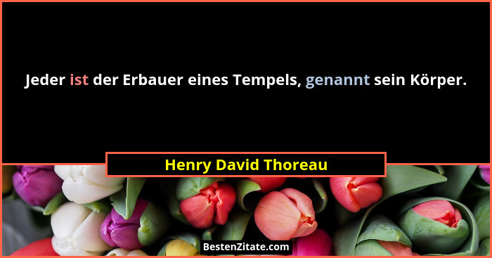 Jeder ist der Erbauer eines Tempels, genannt sein Körper.... - Henry David Thoreau