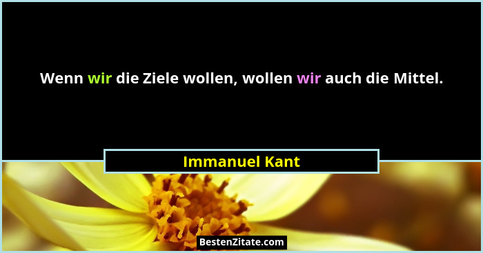 Wenn wir die Ziele wollen, wollen wir auch die Mittel.... - Immanuel Kant