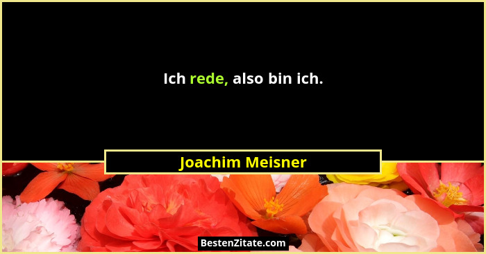 Ich rede, also bin ich.... - Joachim Meisner