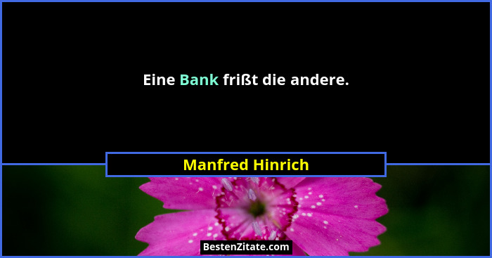 Eine Bank frißt die andere.... - Manfred Hinrich