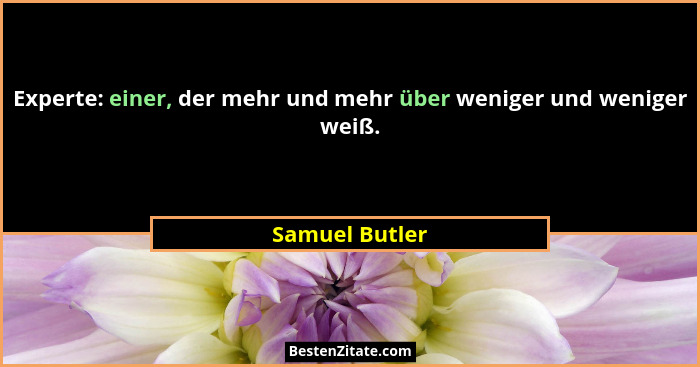 Experte: einer, der mehr und mehr über weniger und weniger weiß.... - Samuel Butler