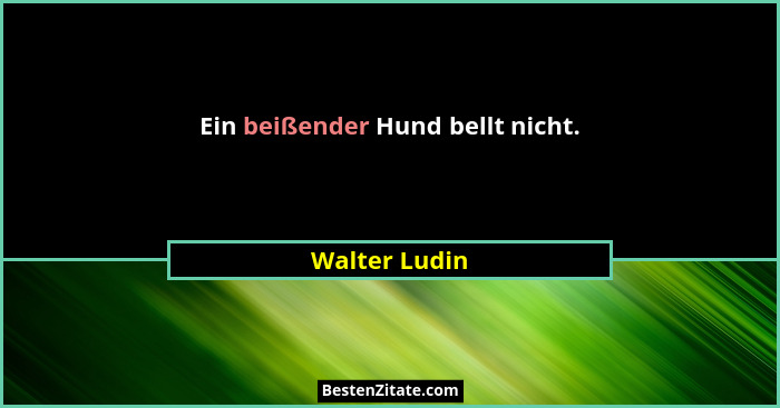 Ein beißender Hund bellt nicht.... - Walter Ludin
