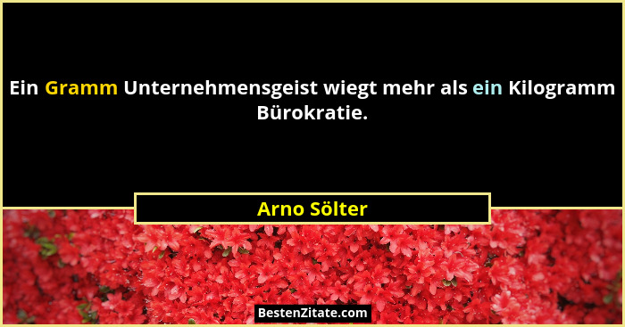 Ein Gramm Unternehmensgeist wiegt mehr als ein Kilogramm Bürokratie.... - Arno Sölter