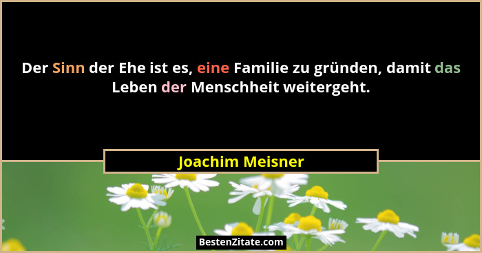Der Sinn der Ehe ist es, eine Familie zu gründen, damit das Leben der Menschheit weitergeht.... - Joachim Meisner