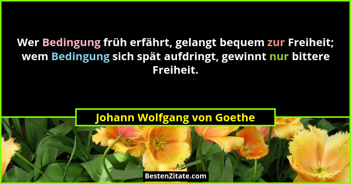 Wer Bedingung früh erfährt, gelangt bequem zur Freiheit; wem Bedingung sich spät aufdringt, gewinnt nur bittere Freiheit.... - Johann Wolfgang von Goethe
