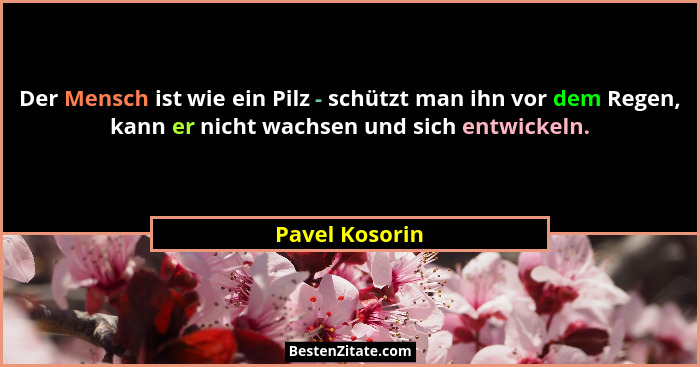Der Mensch ist wie ein Pilz - schützt man ihn vor dem Regen, kann er nicht wachsen und sich entwickeln.... - Pavel Kosorin