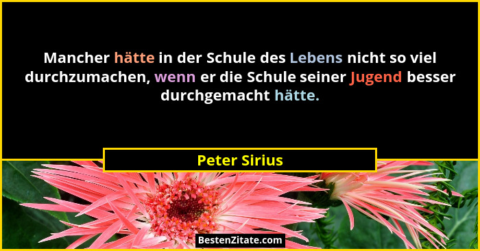 Mancher hätte in der Schule des Lebens nicht so viel durchzumachen, wenn er die Schule seiner Jugend besser durchgemacht hätte.... - Peter Sirius