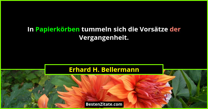 In Papierkörben tummeln sich die Vorsätze der Vergangenheit.... - Erhard H. Bellermann
