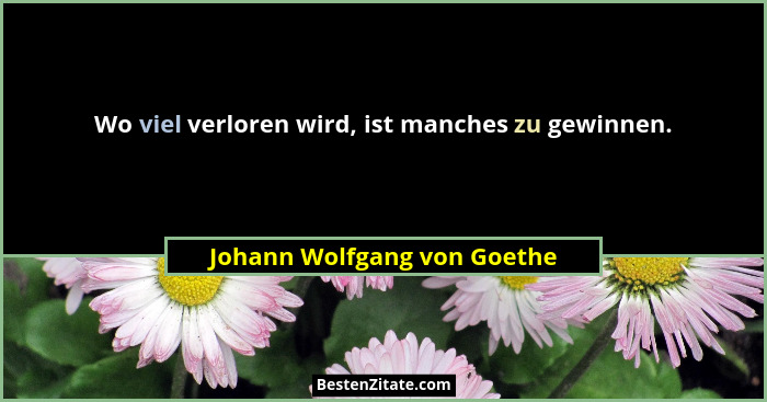 Wo viel verloren wird, ist manches zu gewinnen.... - Johann Wolfgang von Goethe