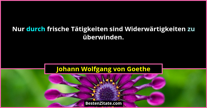 Nur durch frische Tätigkeiten sind Widerwärtigkeiten zu überwinden.... - Johann Wolfgang von Goethe