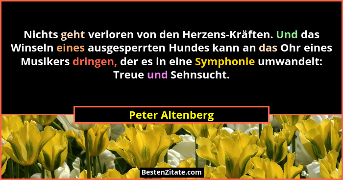 Nichts geht verloren von den Herzens-Kräften. Und das Winseln eines ausgesperrten Hundes kann an das Ohr eines Musikers dringen, der... - Peter Altenberg